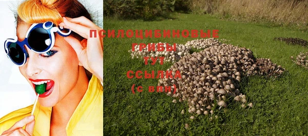 стаф Нефтекумск
