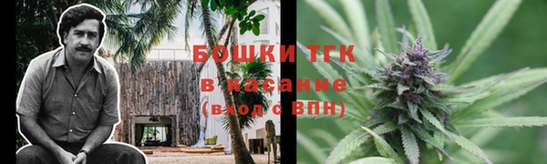 ПСИЛОЦИБИНОВЫЕ ГРИБЫ Елабуга