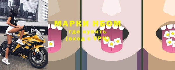 эйфоретик Ельня