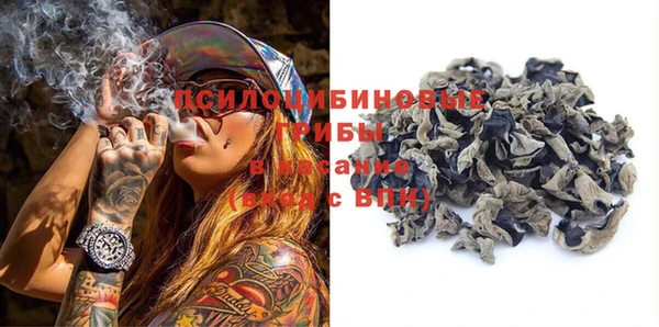 эйфоретик Ельня