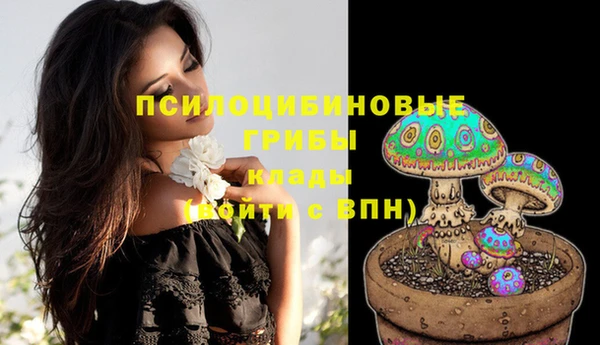 эйфоретик Ельня