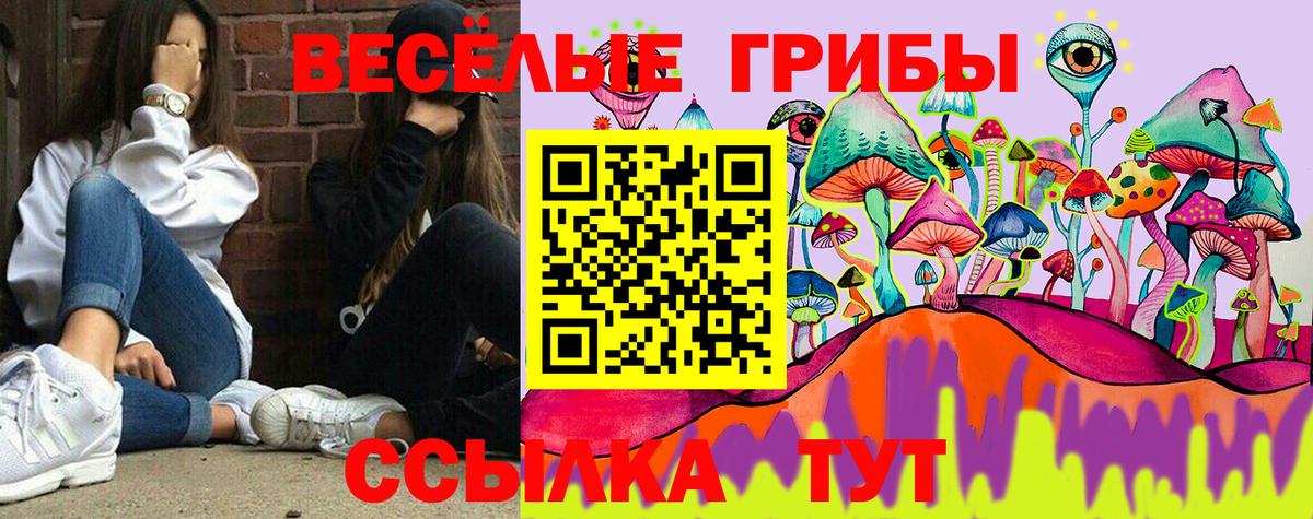 Псилоцибиновые грибы мицелий Протвино
